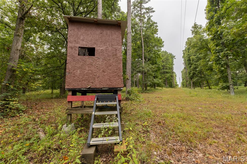 10300 Prescott Road Licking, MO 65542 - Photo 65 of 90