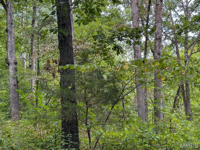 $539,000 | 10300 Prescott Road, Licking, MO 65542