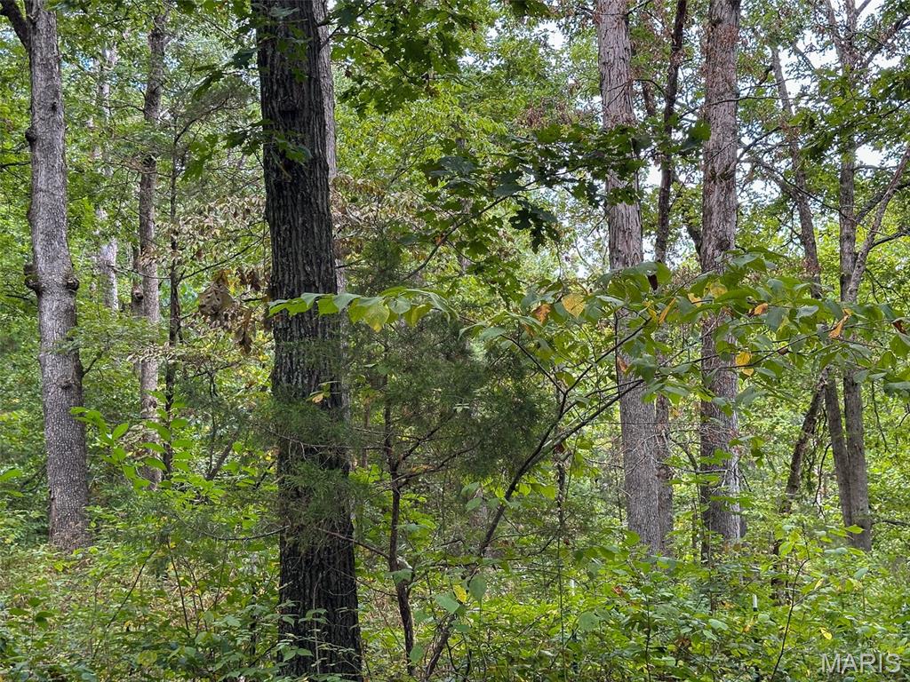 10300 Prescott Road Licking, MO 65542 - Photo 66 of 90