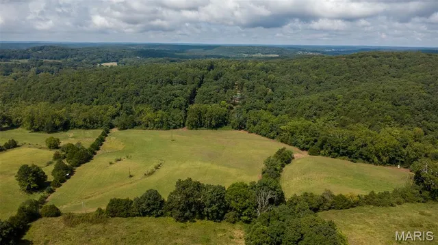 $539,000 | 10300 Prescott Road, Licking, MO 65542