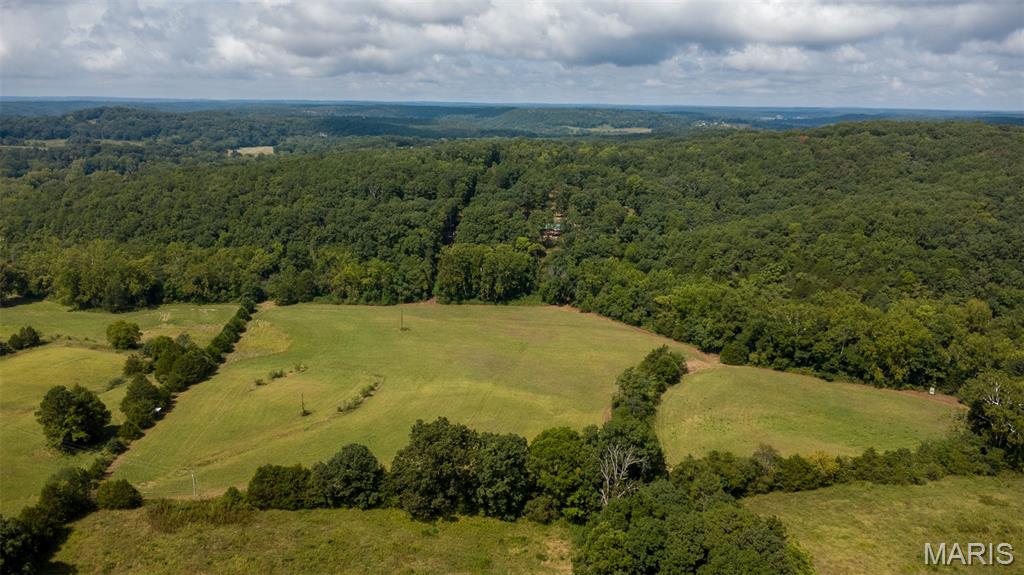 10300 Prescott Road Licking, MO 65542 - Photo 73 of 90
