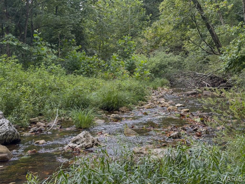 10300 Prescott Road Licking, MO 65542 - Photo 78 of 90