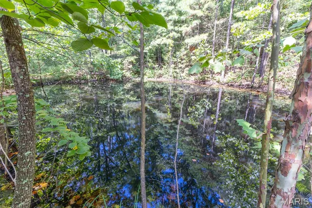 $539,000 | 10300 Prescott Road, Licking, MO 65542