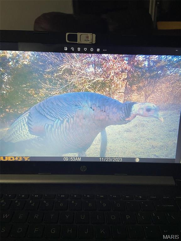 10300 Prescott Road Licking, MO 65542 - Photo 80 of 90