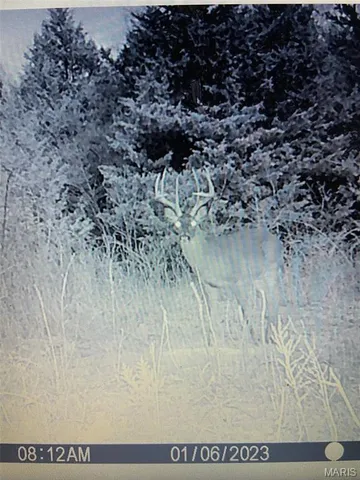 $539,000 | 10300 Prescott Road, Licking, MO 65542