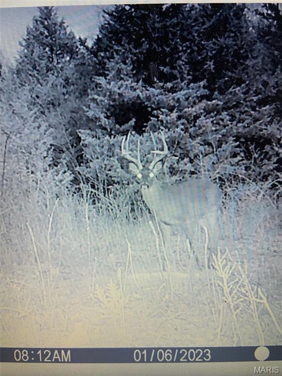 10300 Prescott Road Licking, MO 65542 - Photo 82 of 90