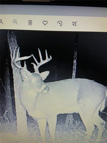 $539,000 | 10300 Prescott Road, Licking, MO 65542