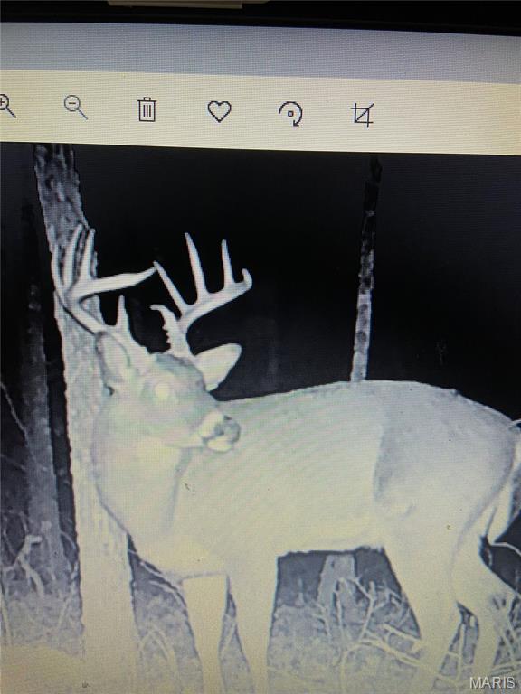 10300 Prescott Road Licking, MO 65542 - Photo 83 of 90