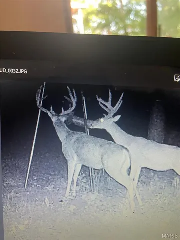 $539,000 | 10300 Prescott Road, Licking, MO 65542