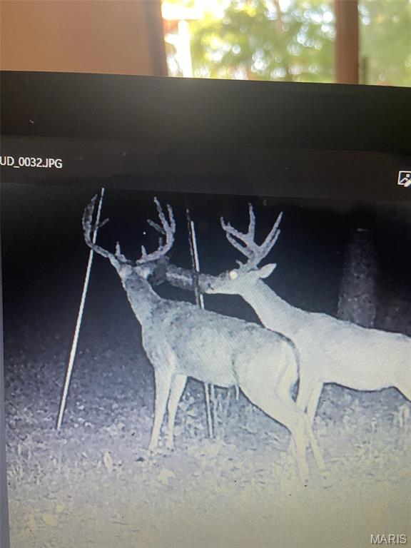 10300 Prescott Road Licking, MO 65542 - Photo 84 of 90