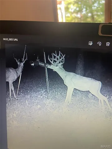 $539,000 | 10300 Prescott Road, Licking, MO 65542