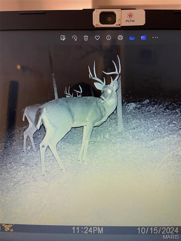 10300 Prescott Road Licking, MO 65542 - Photo 86 of 90