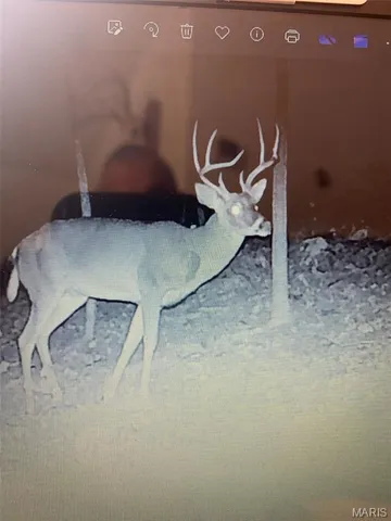 $539,000 | 10300 Prescott Road, Licking, MO 65542