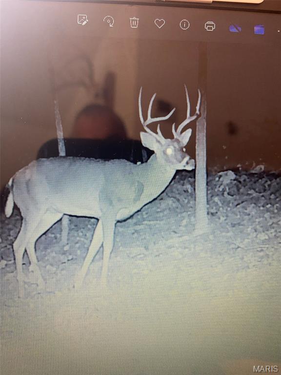 10300 Prescott Road Licking, MO 65542 - Photo 87 of 90