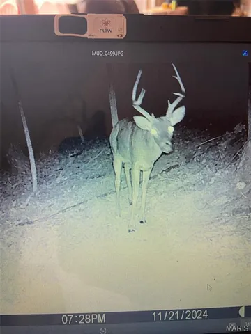 $539,000 | 10300 Prescott Road, Licking, MO 65542