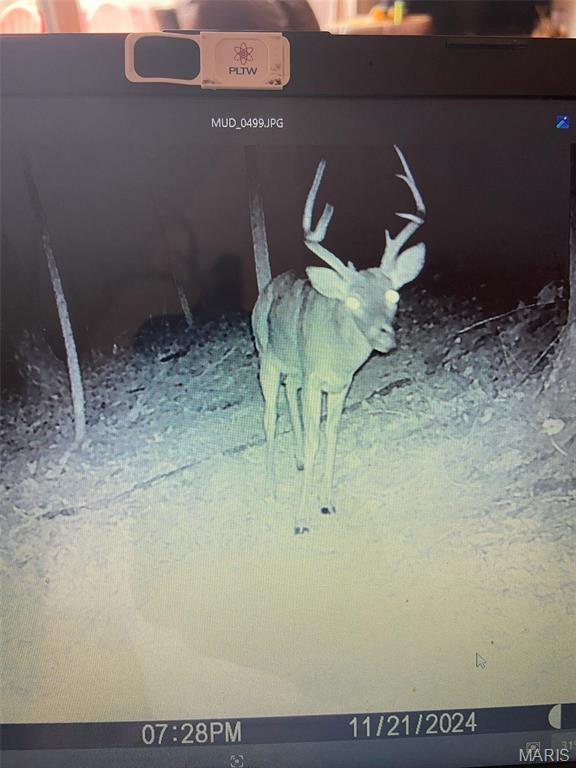 10300 Prescott Road Licking, MO 65542 - Photo 88 of 90