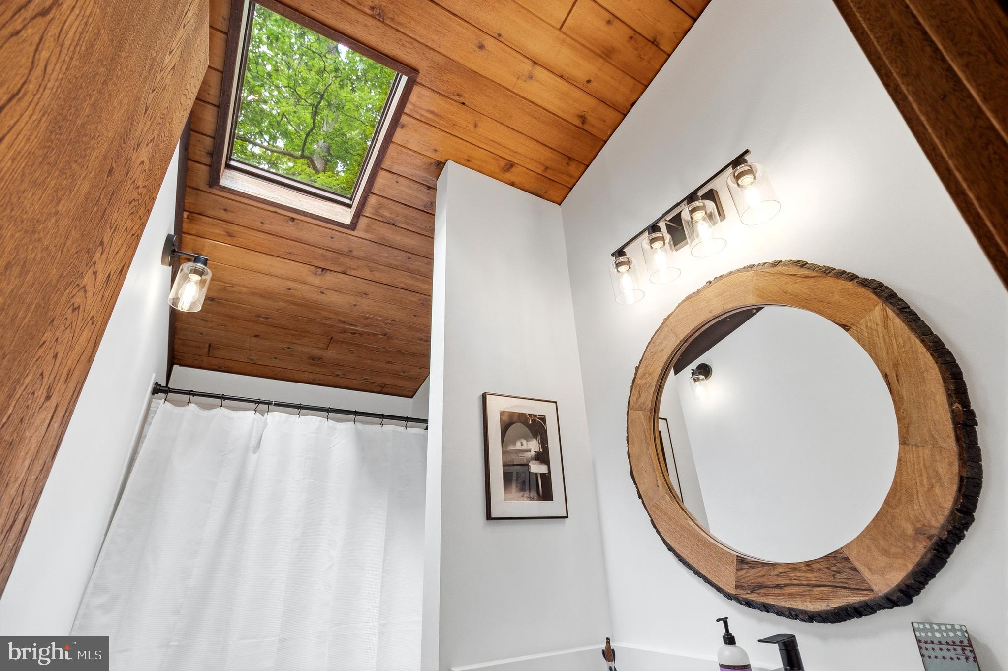 10815 Cross School Road Reston, VA 20191 - Photo 17 of 48 Main level bathroom with skylight