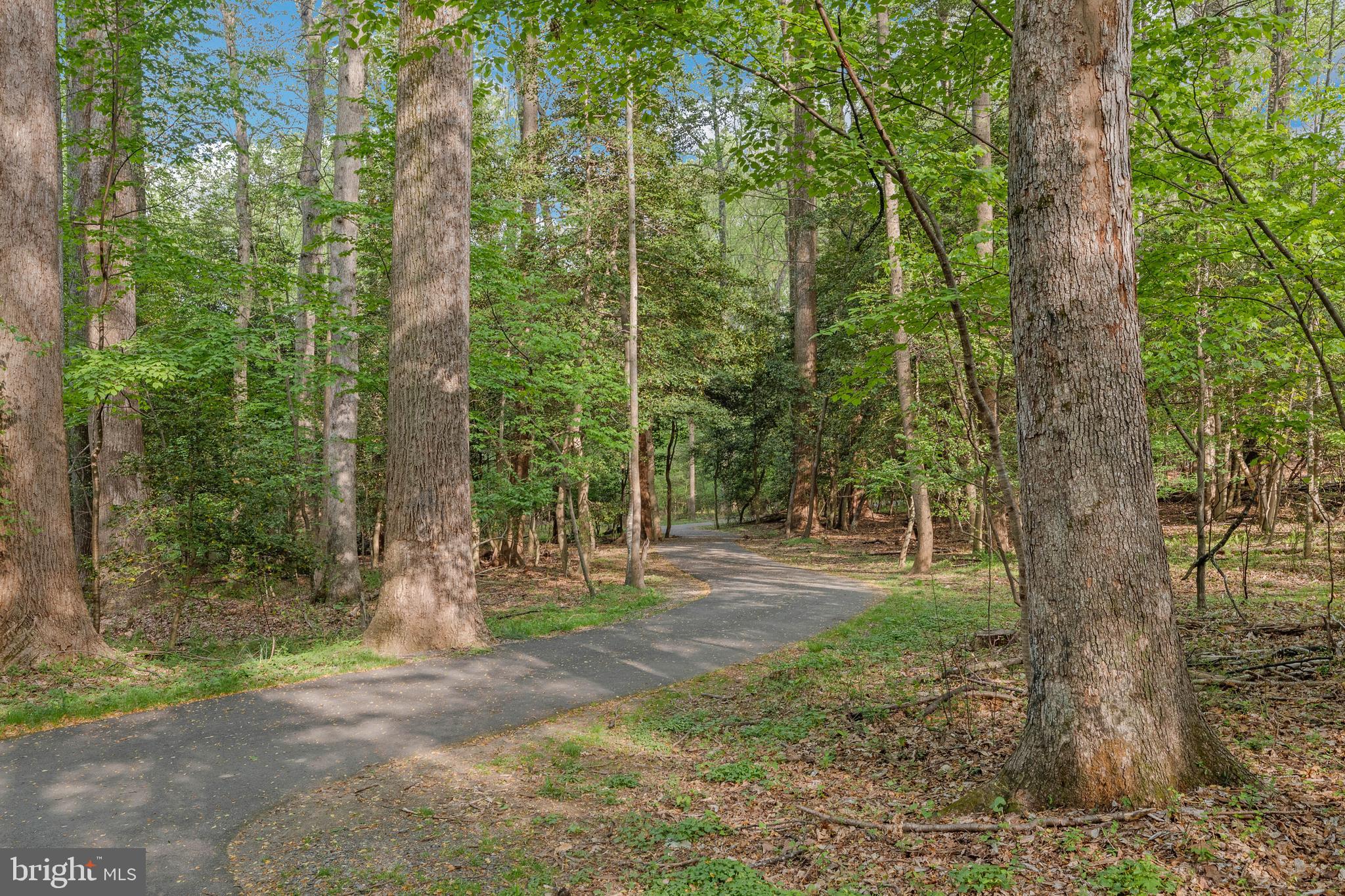 2310 Glade Bank Way Reston, VA 20191 - Photo 29 of 32 Gallery Image 29