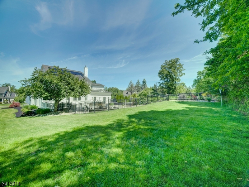 23 Ryerson Road Flemington, NJ 08822 - Photo 44 of 44 a view of a big yard with plants and large trees