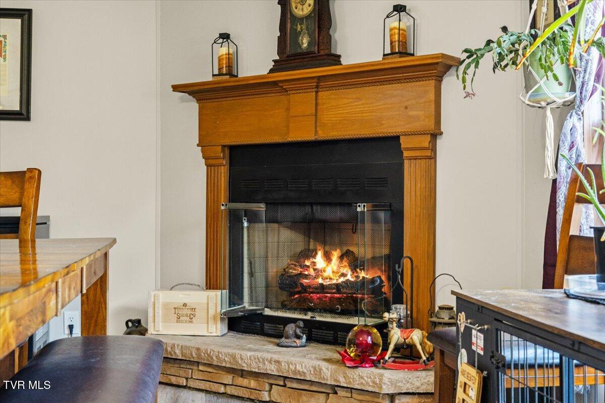 125 Astor Bowers Road Greeneville, TN 37743 - Photo 6 of 47 06-128A4685