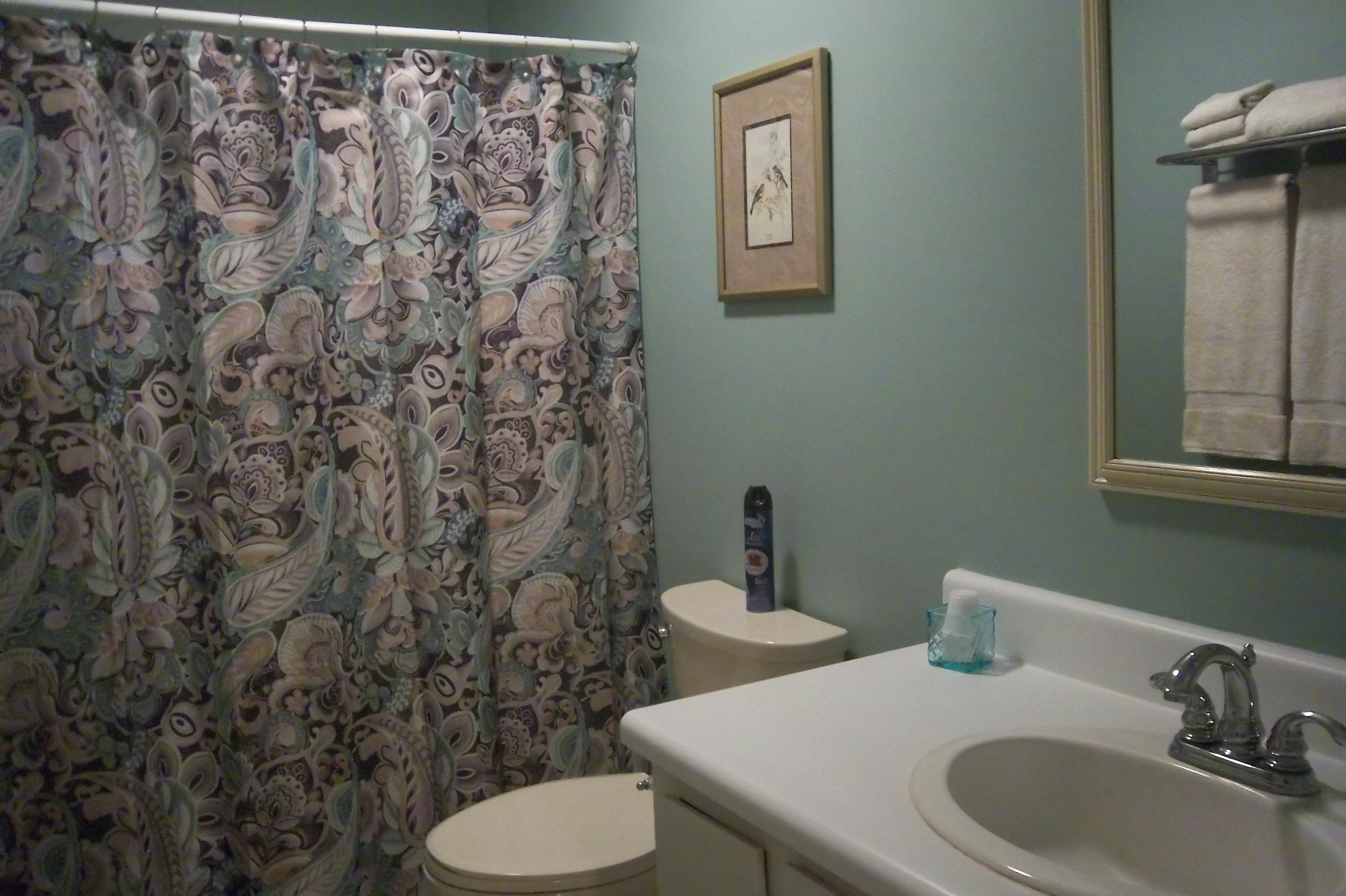 764 Dandridge Road Walterboro, SC 29488 - Photo 22 of 34 Hall Bathroom