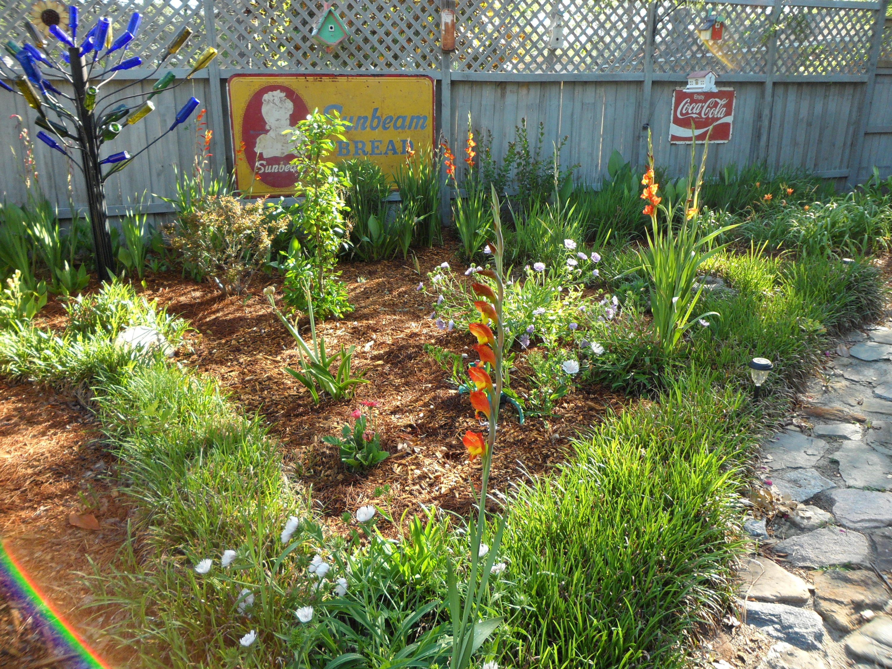 764 Dandridge Road Walterboro, SC 29488 - Photo 30 of 34 Backyard Garden in Bloom