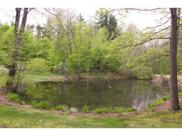 152 Candia Road Chester, NH 03036 - Photo 25 of 35