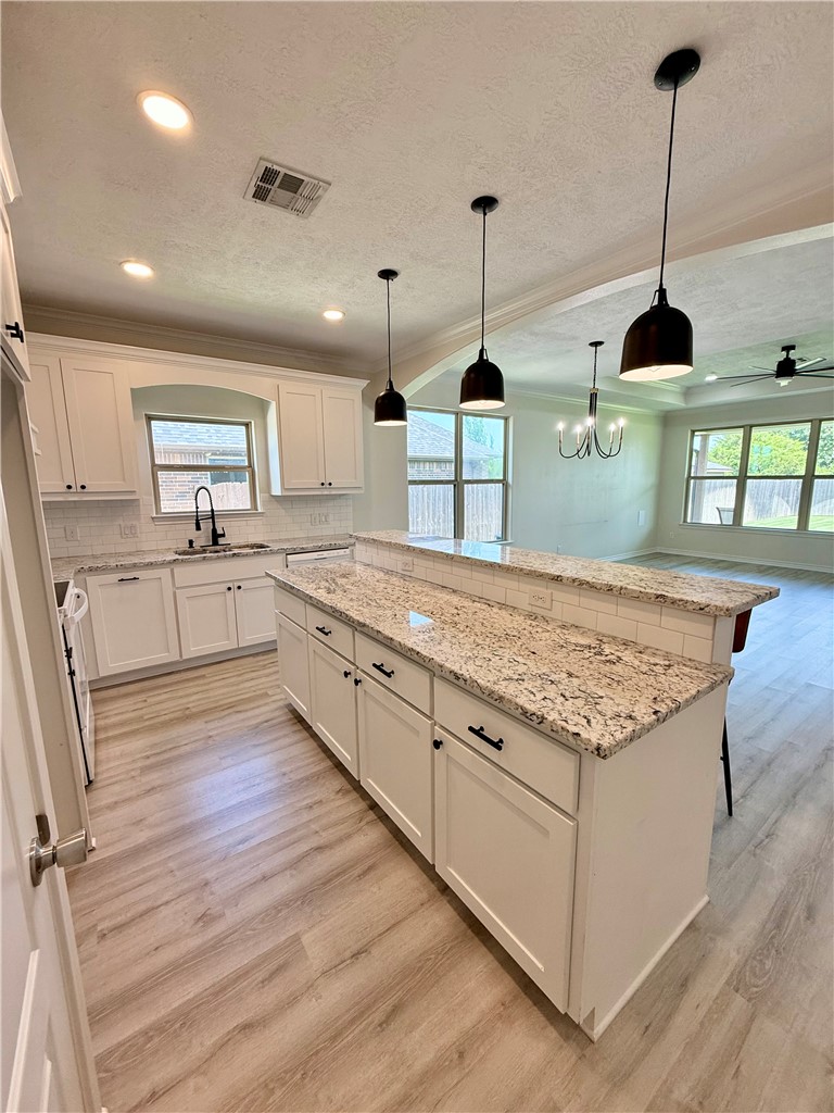3677 Rabbit Lane Bryan, TX 77808 - Photo 13 of 30