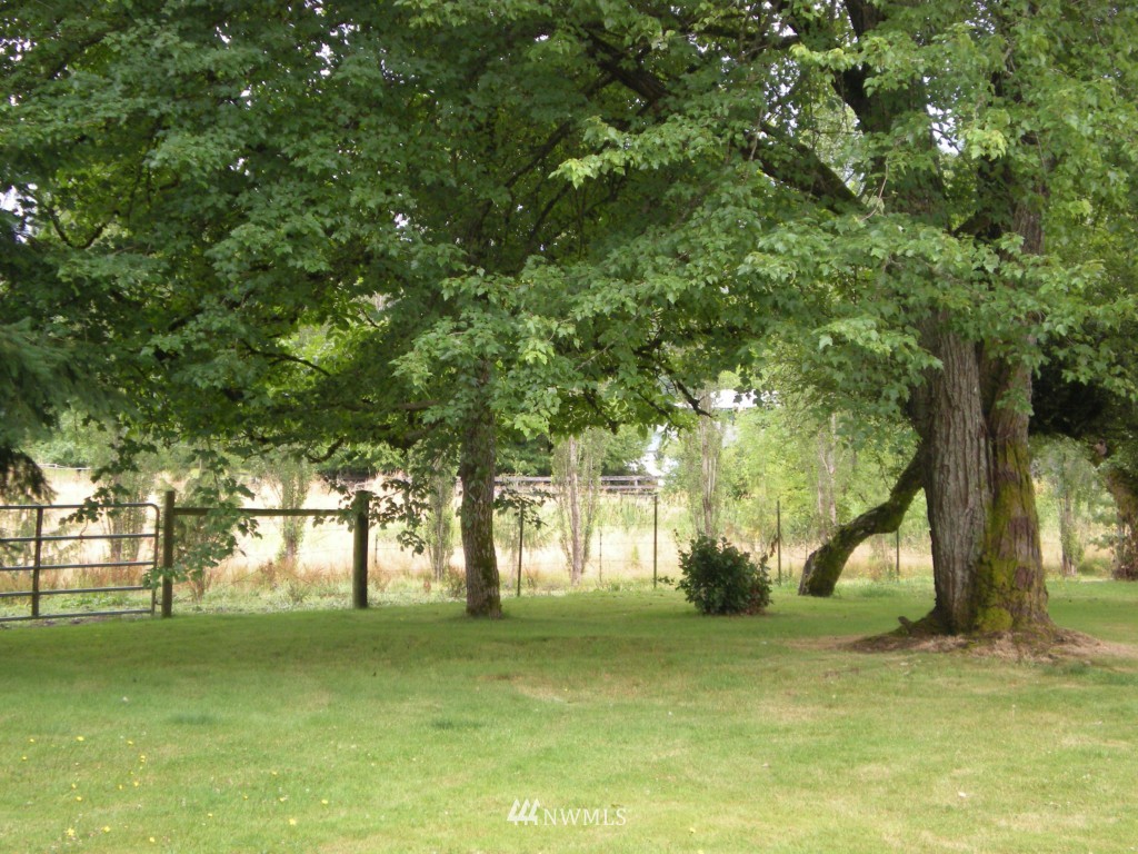 145 Rogers Road Toledo, WA 98591 - Photo 19 of 19 Gallery Image 19