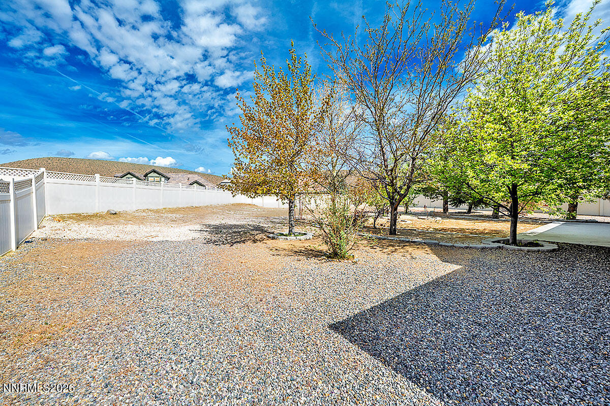 402 Chianti Way Dayton, NV 89403 - Photo 25 of 29 a view of a yard with a tree