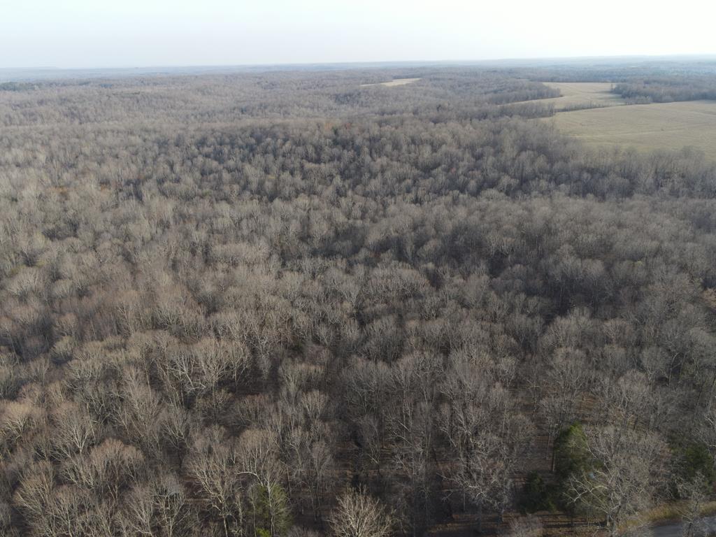 0 Powell Rd Street St. Charles, KY 42453 - Photo 1 of 11 Main View