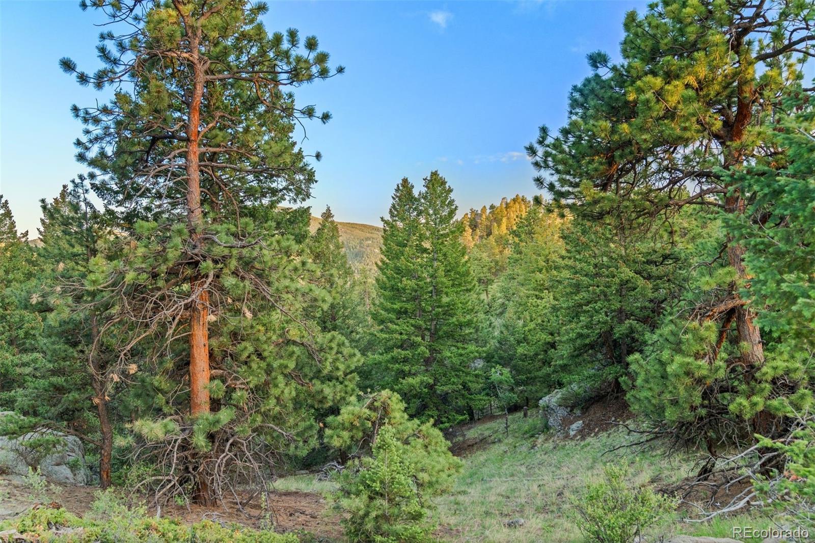 6371 Canyon Creek Road Evergreen, CO 80439 - Photo 38 of 50 an aerial view of a house with a yard