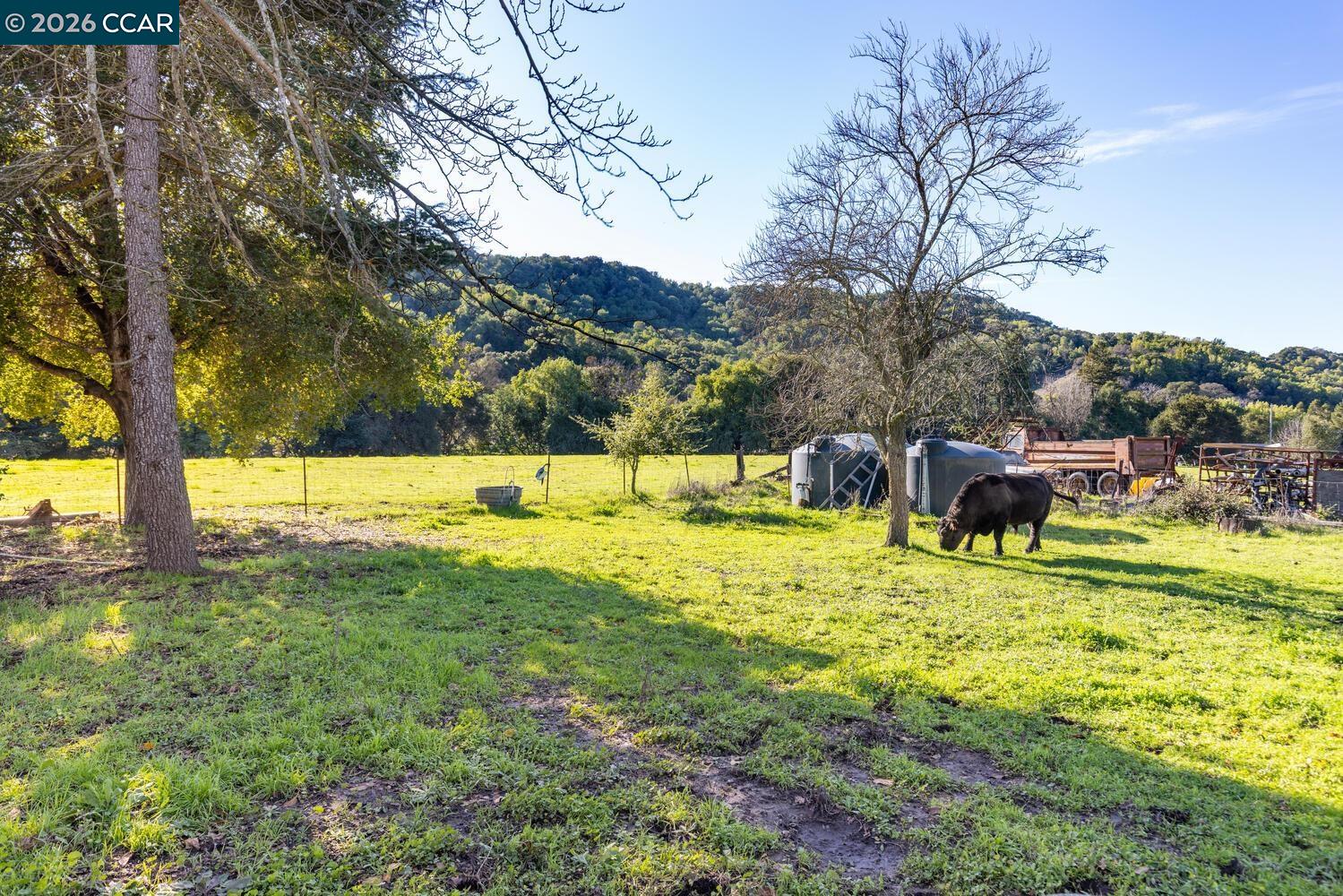 1015 Garcia Ranch Road Martinez, CA 94553 - Photo 35 of 44