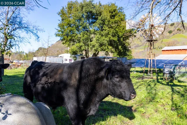 $1,295,000 | 1015 Garcia Ranch Road, Martinez, CA 94553