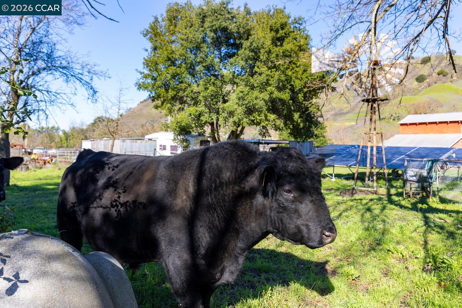 1015 Garcia Ranch Road Martinez, CA 94553 - Photo 36 of 44