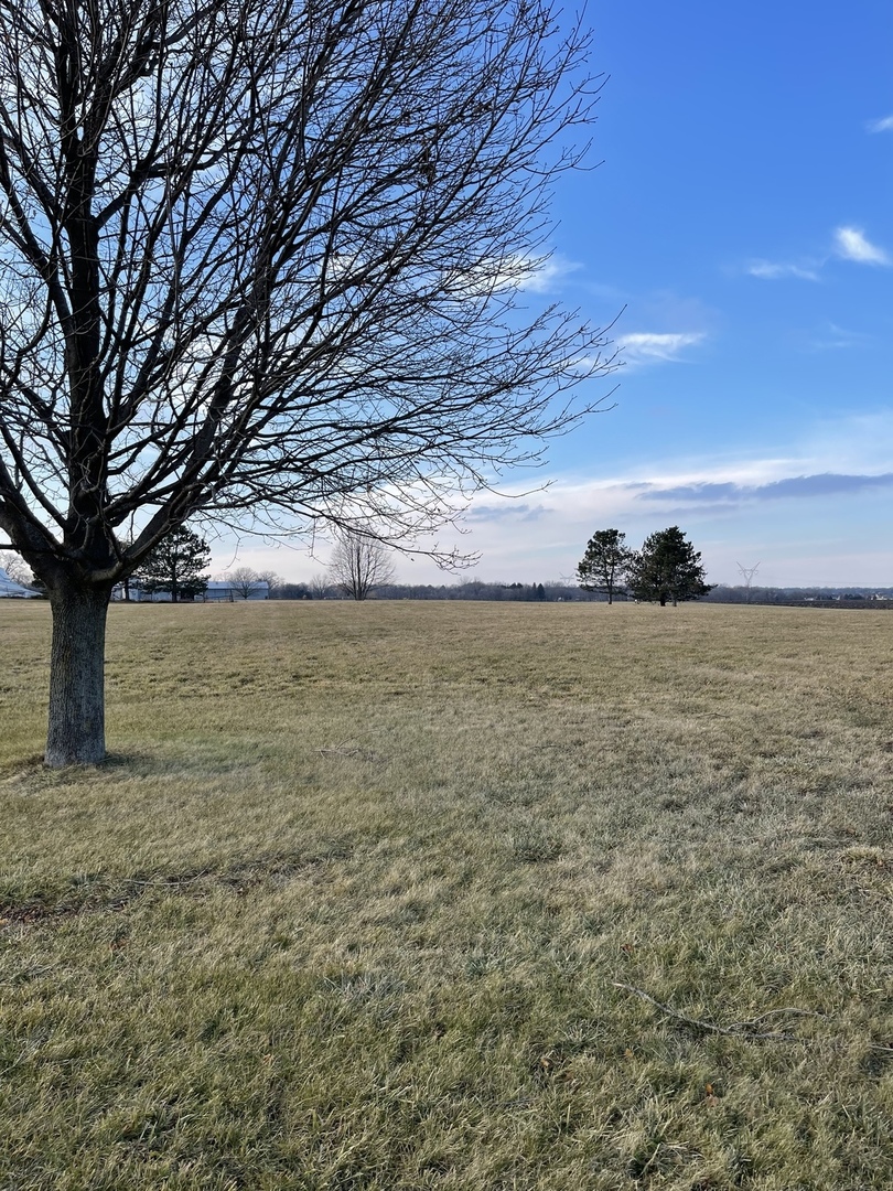 17408 Wildflower Circle Union, IL 60180 - Photo 2 of 6 a view of a lake view
