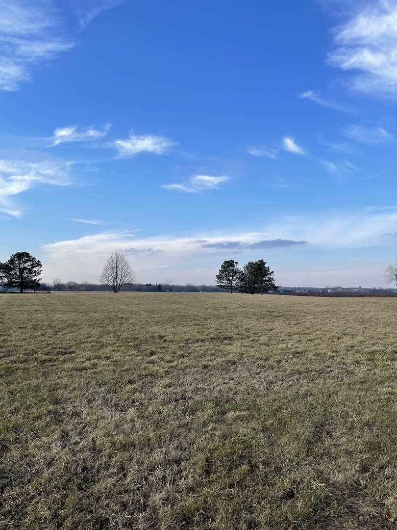 17408 Wildflower Circle Union, IL 60180 - Photo 3 of 6 a view of an ocean