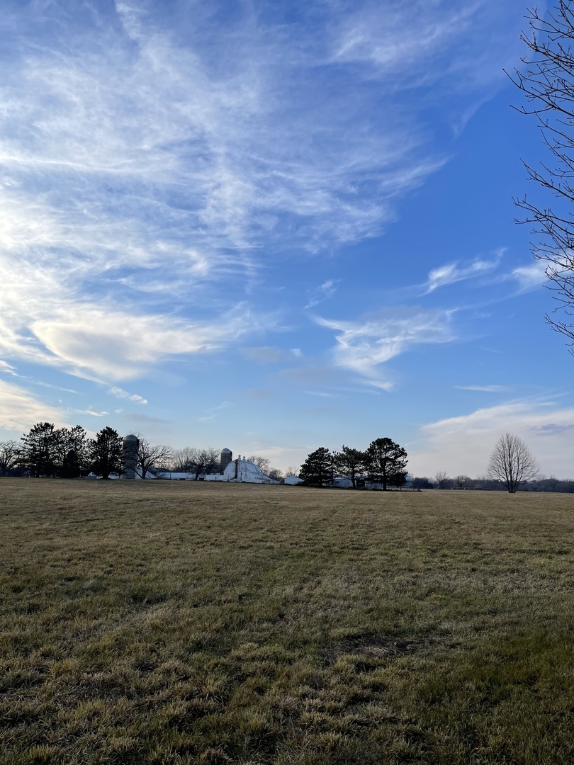 17408 Wildflower Circle Union, IL 60180 - Photo 4 of 6 a view of ocean with beach
