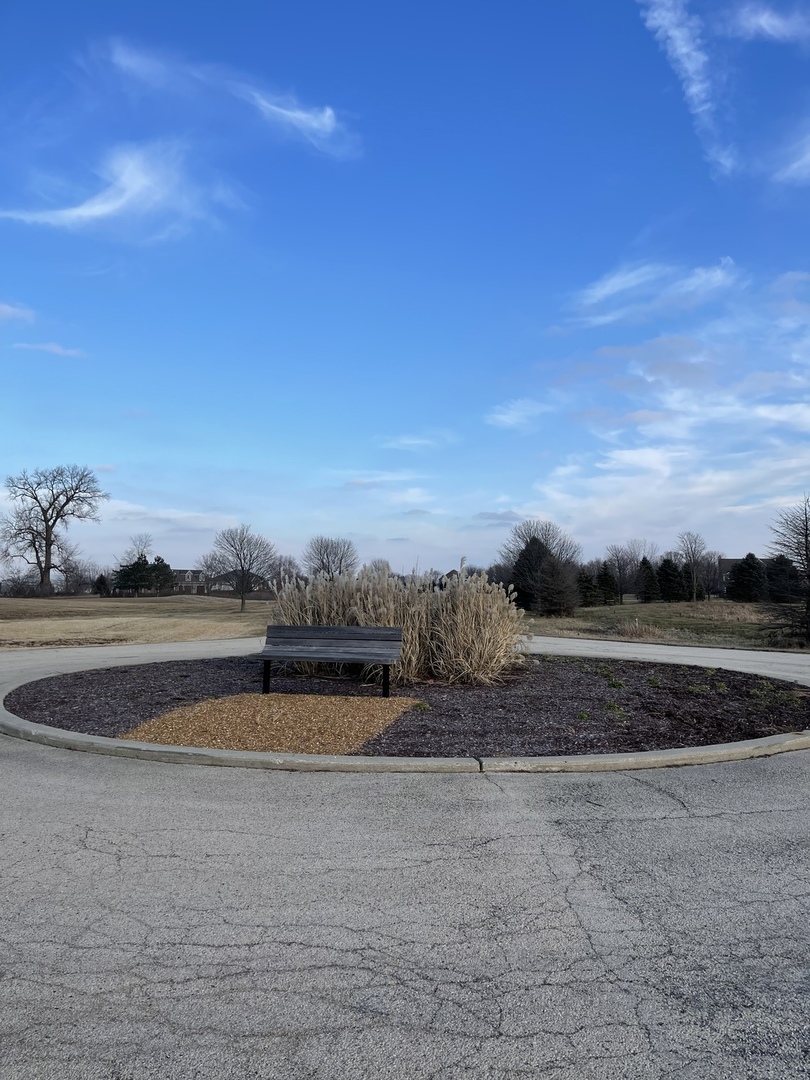 17408 Wildflower Circle Union, IL 60180 - Photo 5 of 6 a view of lake view and mountain view
