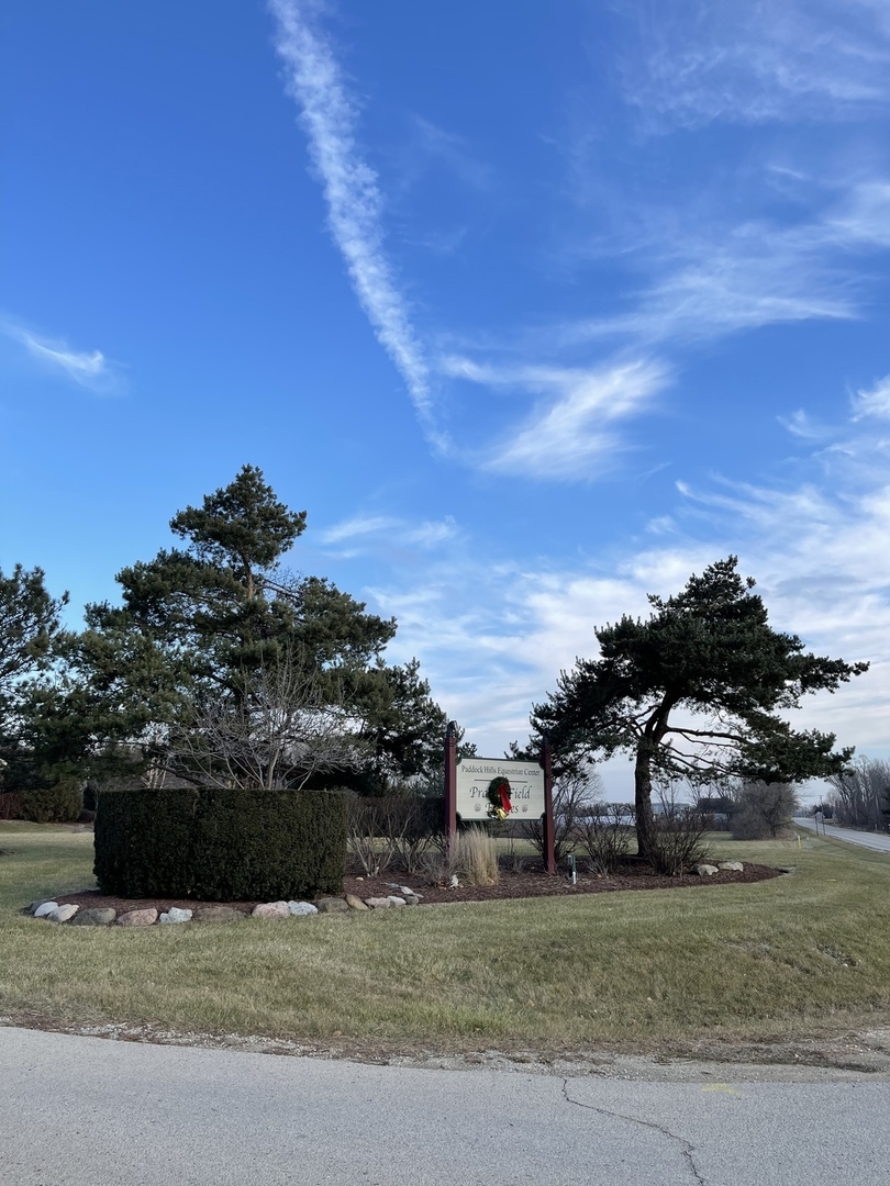 17408 Wildflower Circle Union, IL 60180 - Photo 6 of 6 a view of a garden