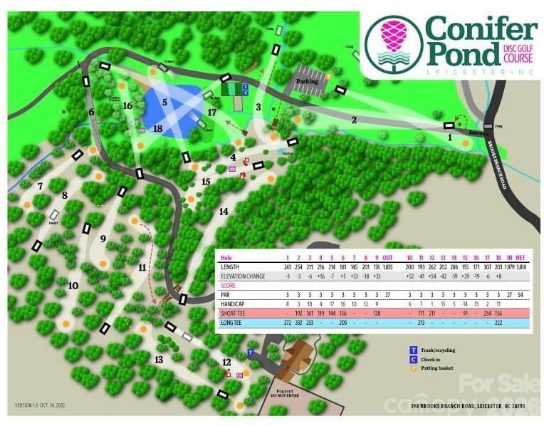 198 Brooks Branch Road Leicester, NC 28748 - Photo 34 of 39