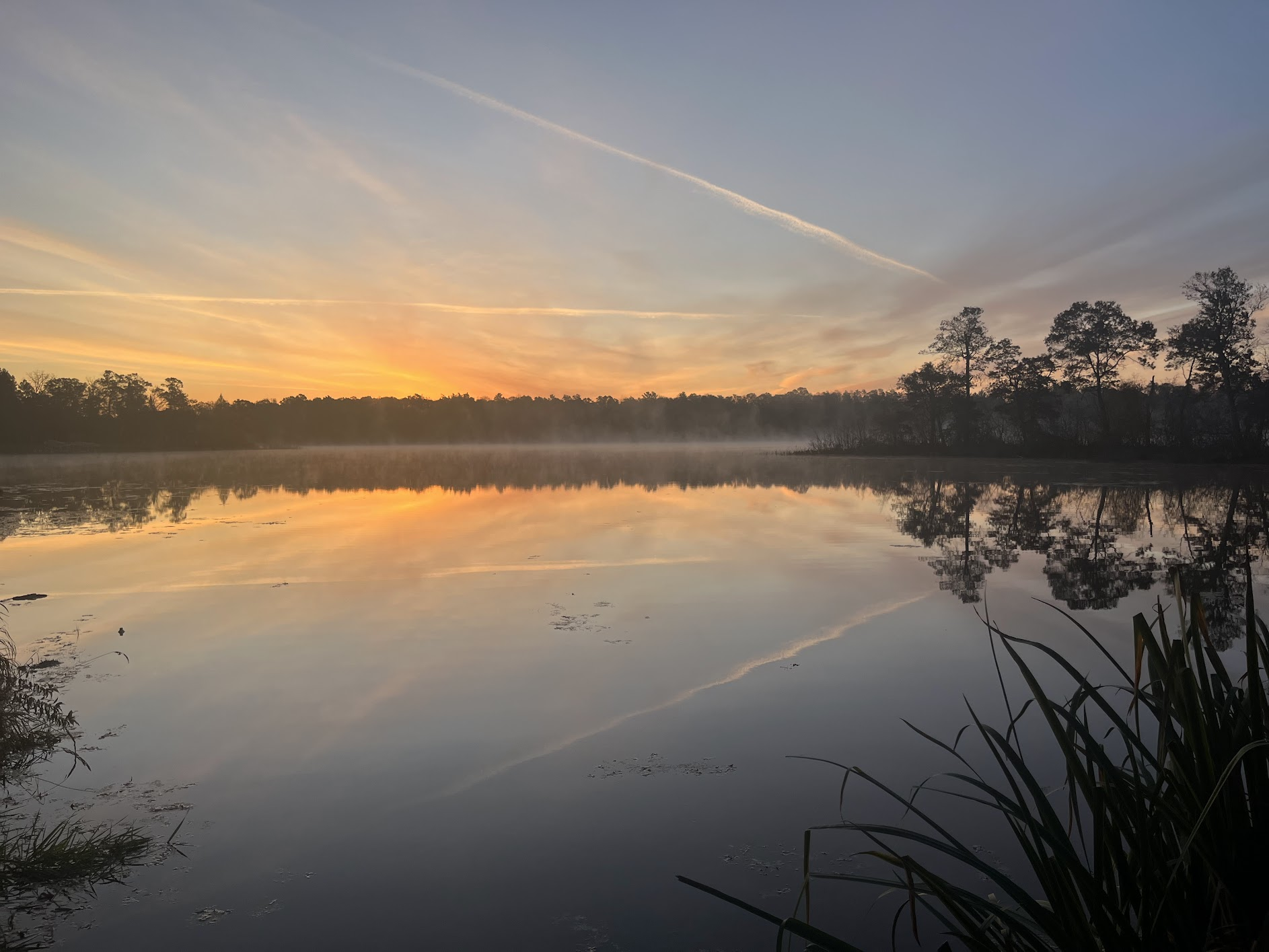1973 West Gull River Road Southwest Pillager, MN 56473 - Photo 77 of 77