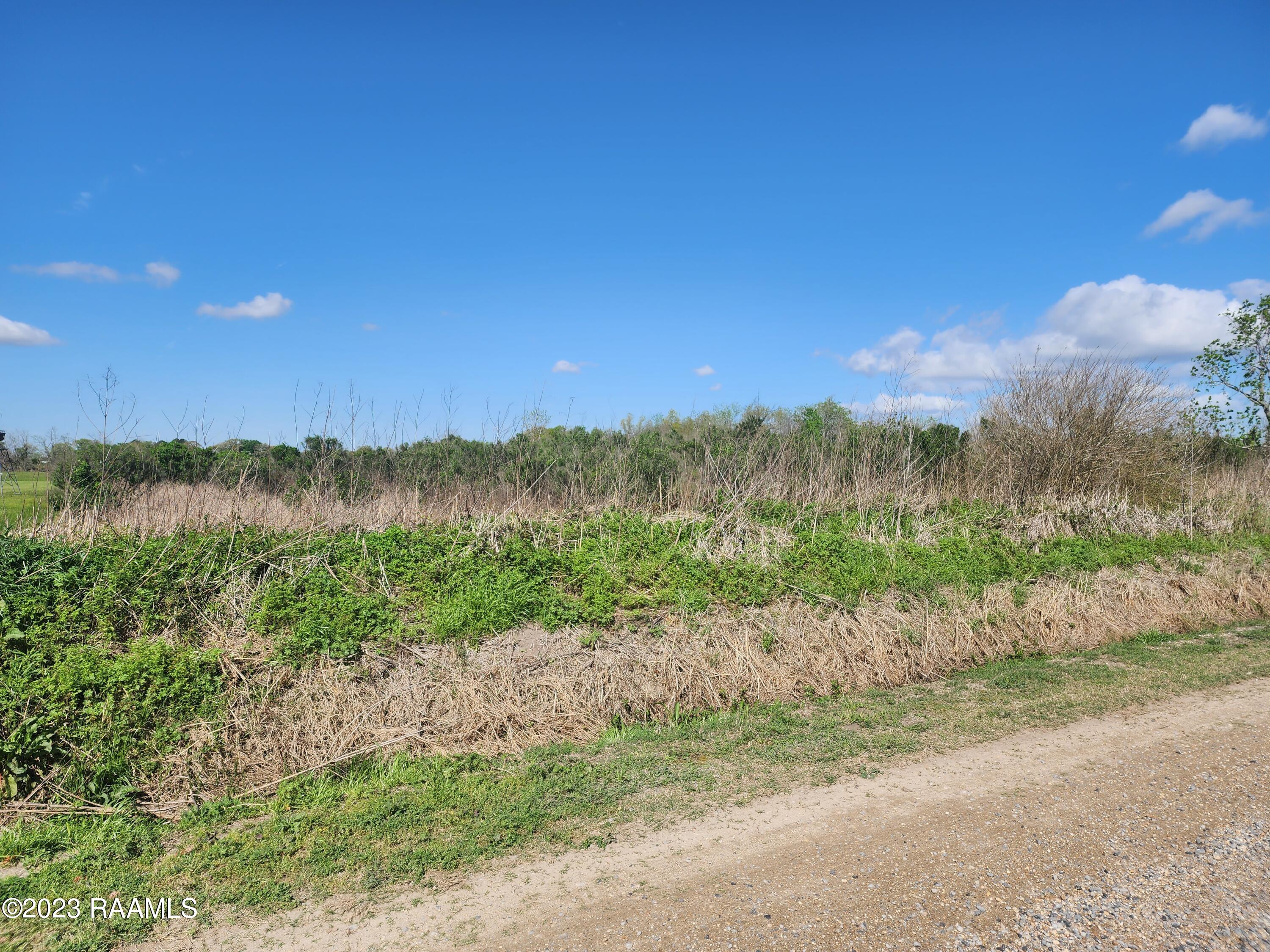 Tbd Brandon Road Rayne, LA 70578 - Photo 1 of 4 20230303_100724