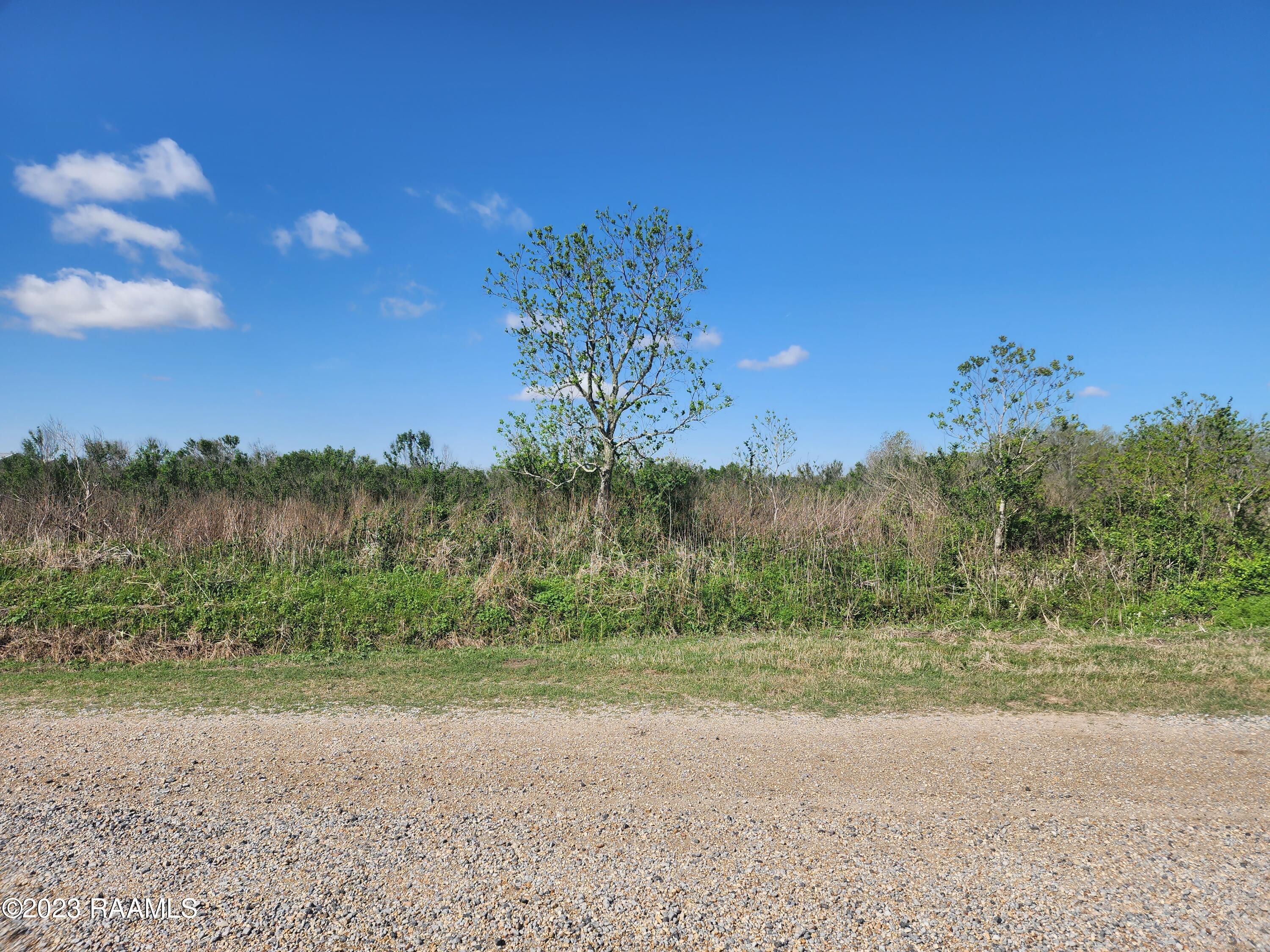 Tbd Brandon Road Rayne, LA 70578 - Photo 3 of 4 20230303_100651