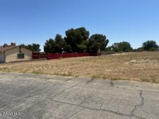 178th Street East Lancaster, CA 93535 - Photo 3 of 11 a view of a yard