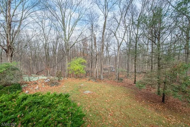 a view of a yard with trees in front of it