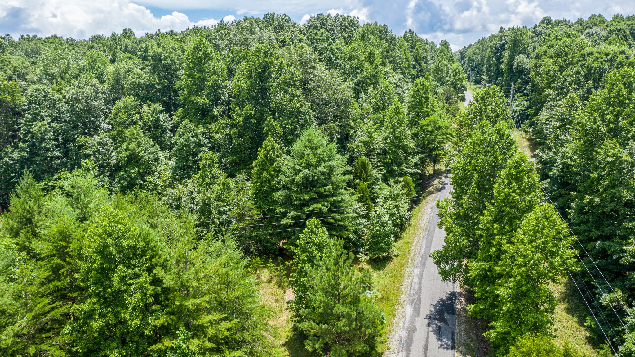 0 Old Sewanee Road Sewanee, TN 37375 - Photo 8 of 12 Gallery Image 8