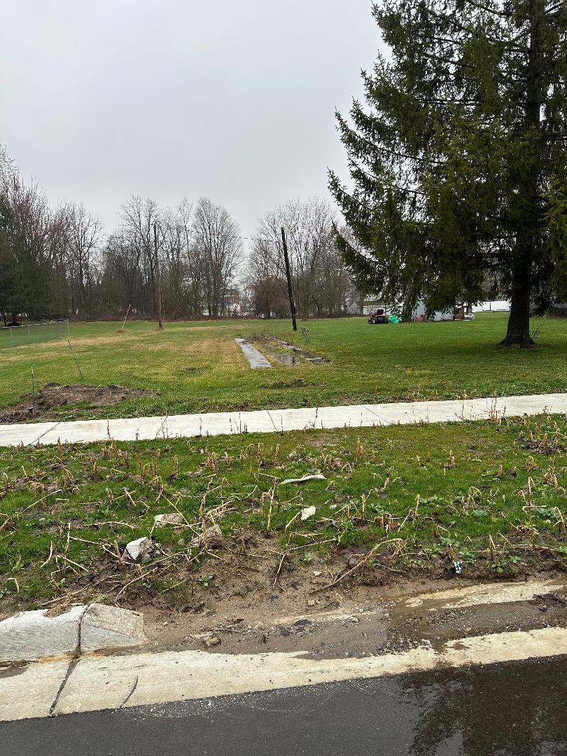 226 Strong Street Reading, MI 49274 - Photo 1 of 1 Vacant lot