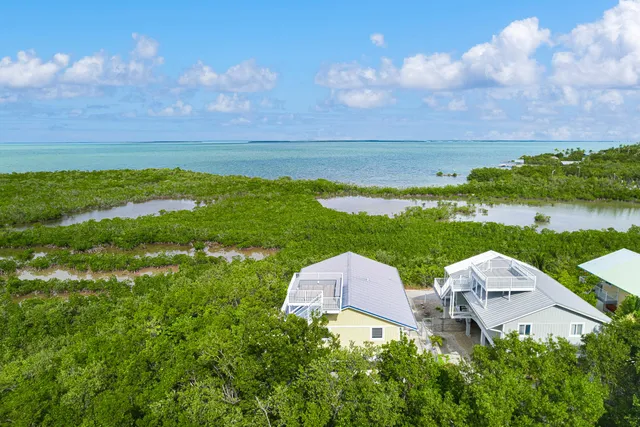 a view of a lake with a city