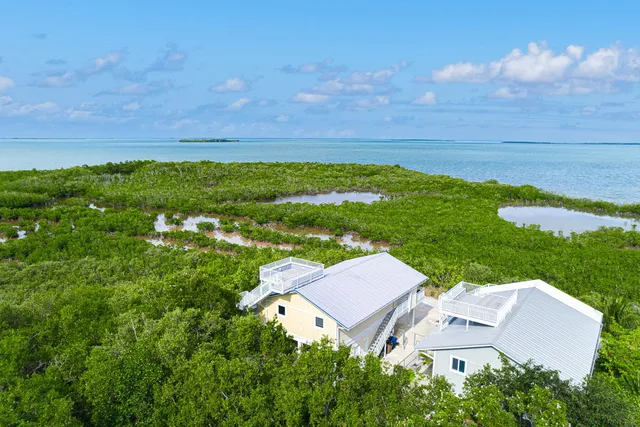 a view of a garden with an ocean